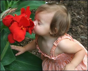Baby smelling a flower